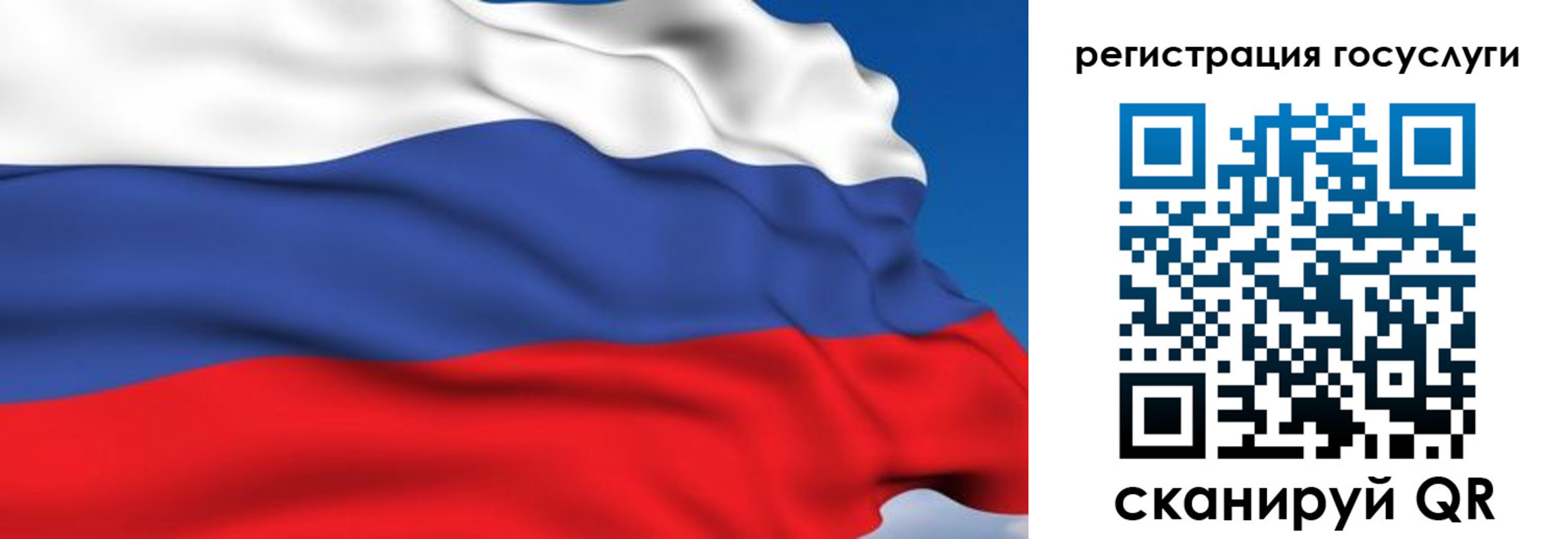 где прописаться в Владимирской области